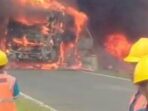 kecelakaan-maut-bus-als-1778061496271_169